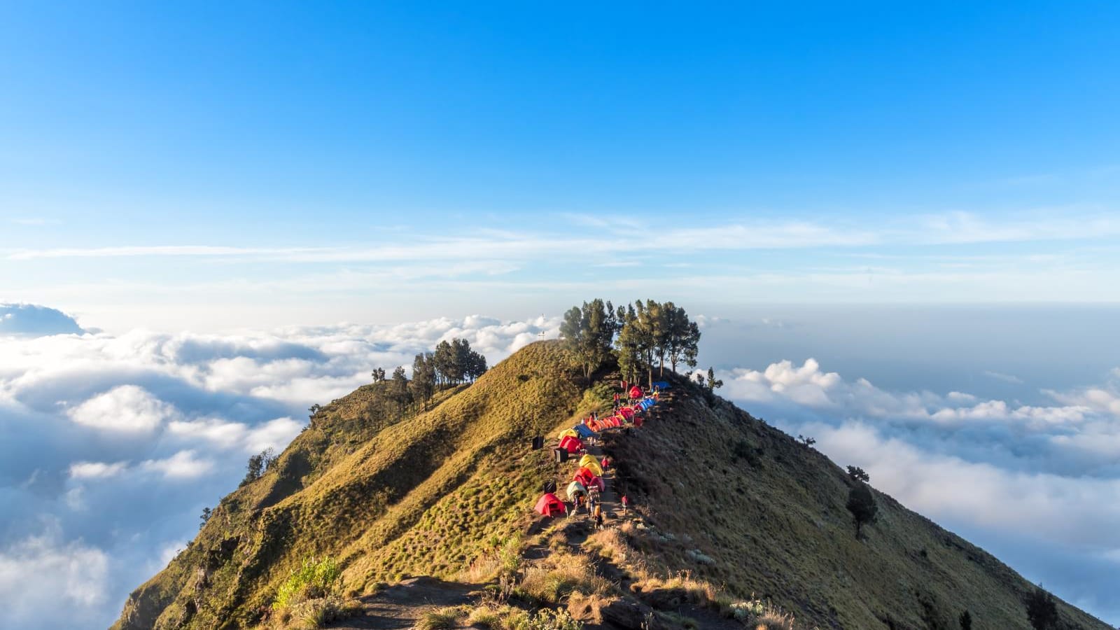 Pendakian Gunung Rinjani tutup sementara mulai 1 Januari 2026, hingga kapan?