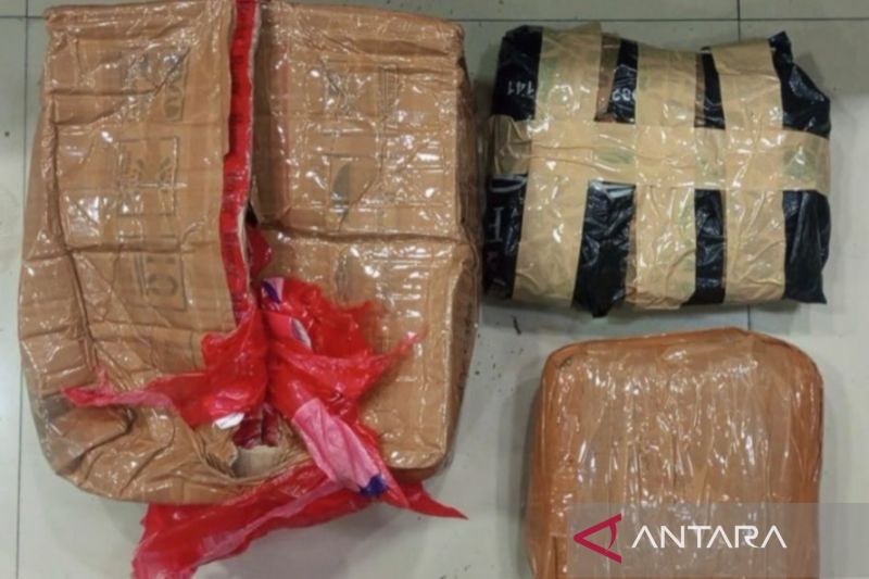 Polda Metro Jaya tangkap pengedar ganja 1,3 kg di Bekasi