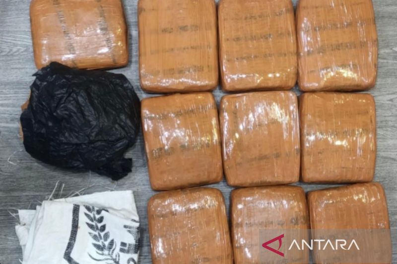 Polda Metro Jaya tangkap pengedar ganja 10 kg di Jakbar