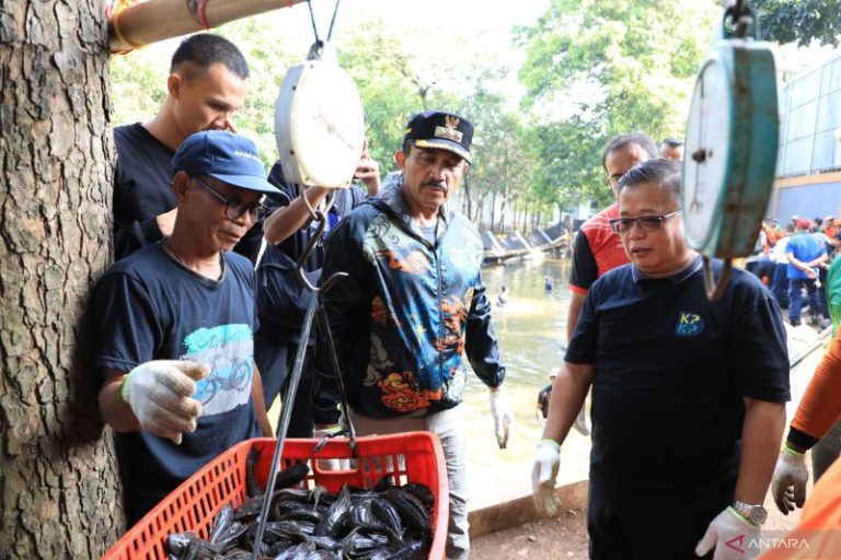 Penanganan ikan sapu-sapu di Jaksel sesuai rekomendasi MUI