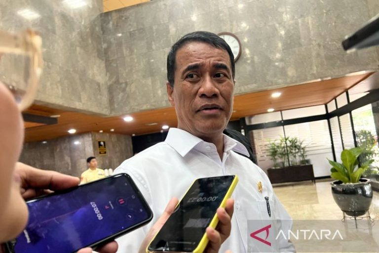 Mentan tegaskan cabut izin produsen Minyakita bila naikkan harga