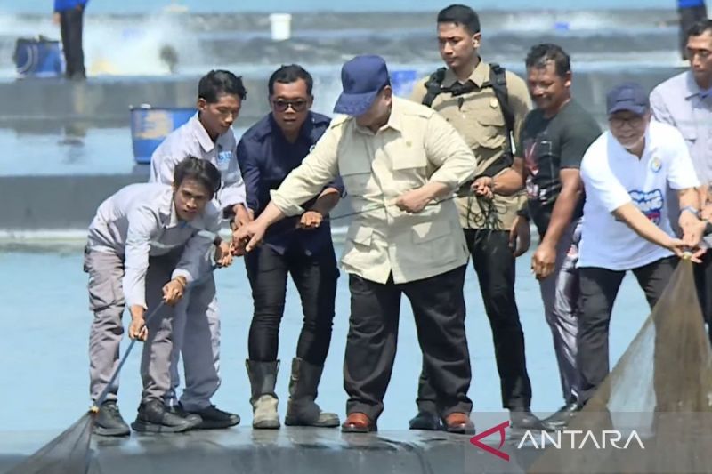 Prabowo tinjau panen raya udang di Tambak Budidaya Kebumen