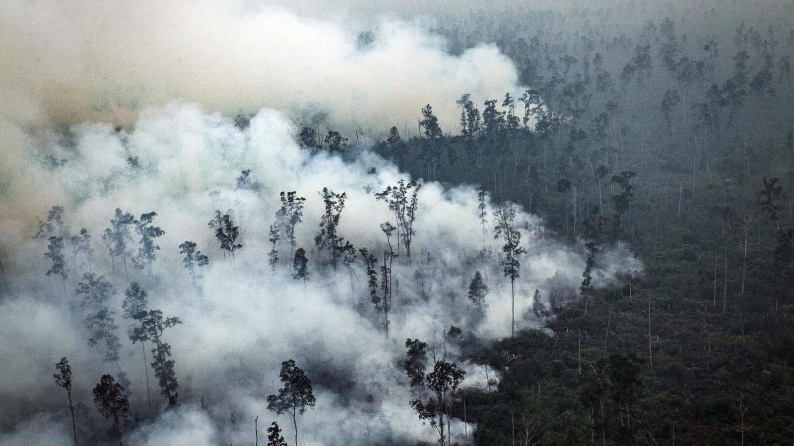 Riau siaga penuh antisipasi meningkatnya ancaman kebakaran hutan dan lahan