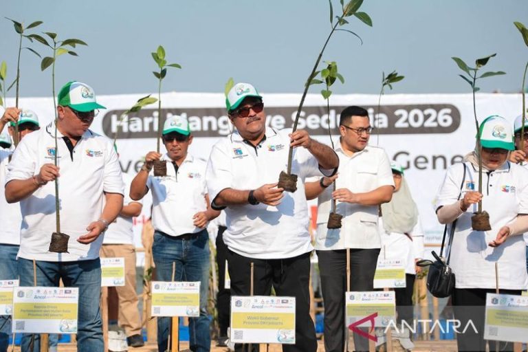 Peringati Hari Mangrove Sedunia, DKI tanam 21 ribu bibit mangrove