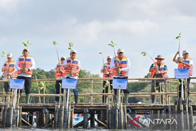 Menteri KKP: Rehabilitasi mangrove harus mampu topang ketahanan pangan
