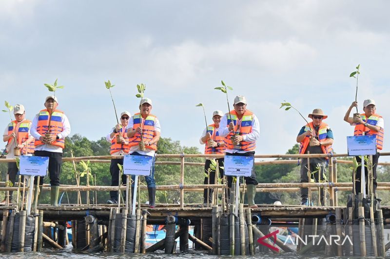 Menteri KKP: Rehabilitasi mangrove harus mampu topang ketahanan pangan