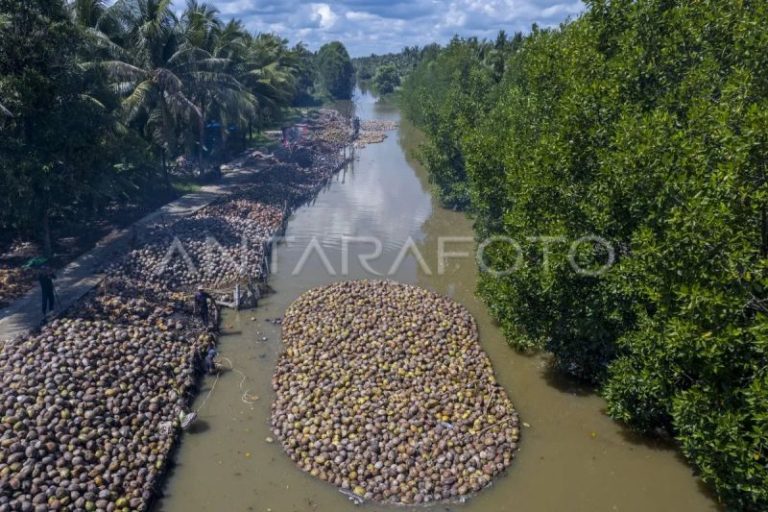 Kementan gandeng Danantara bangun industri hilir kelapa terpadu
