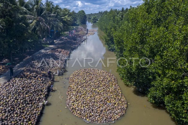 Kementan gandeng Danantara bangun industri hilir kelapa terpadu