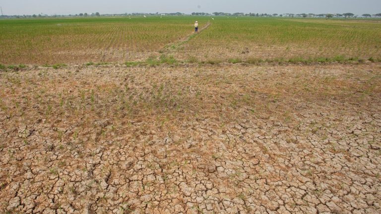 Indonesia masuki fase El Nino kuat, apa yang perlu Anda lakukan?