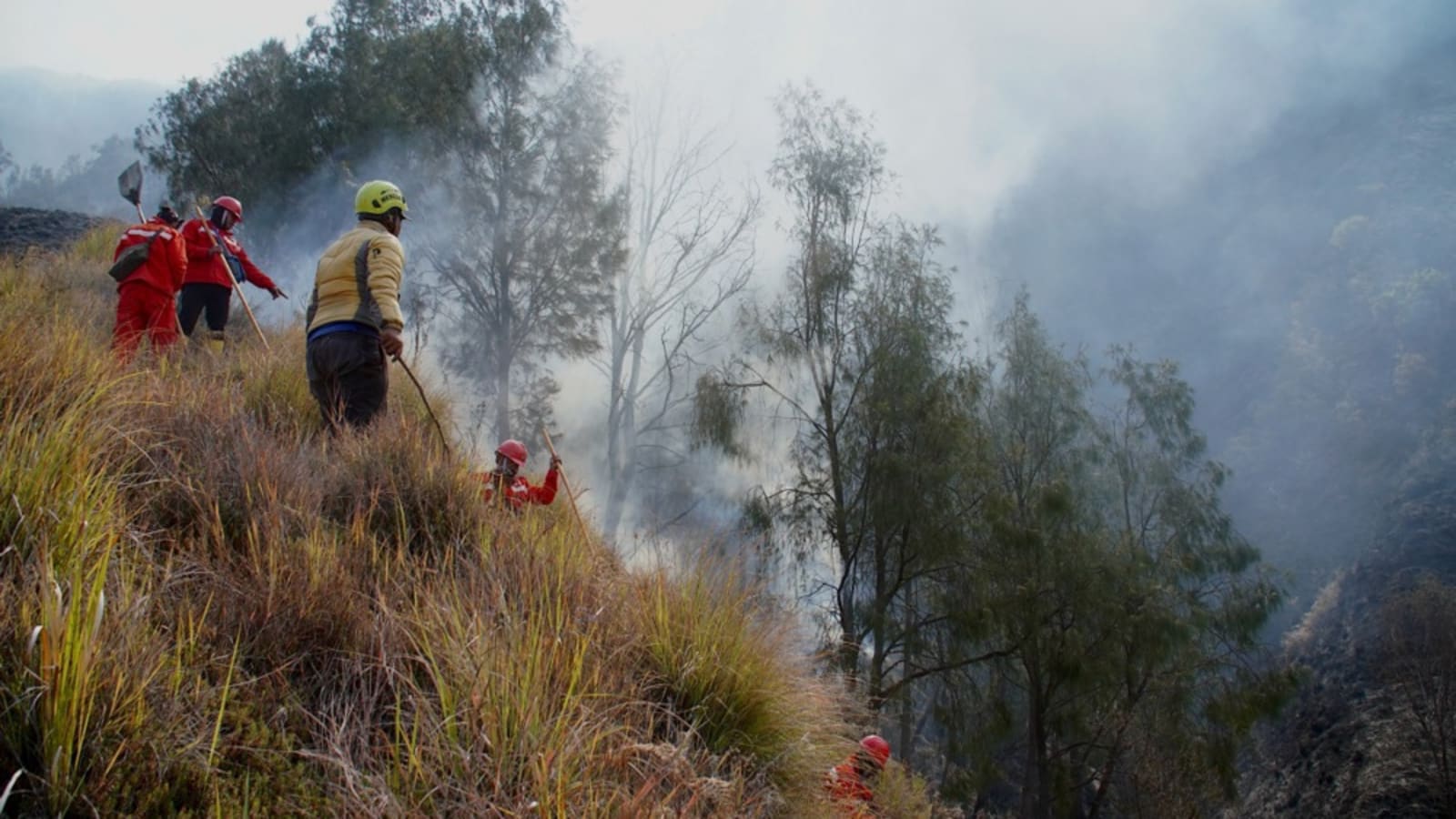 Gunung Bromo kembali dibuka usai karhutla, kuota 2.752 wisatawan per hari