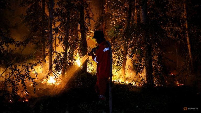 Kabut asap karhutla perburuk kualitas udara sejumlah kota, dari Pekanbaru hingga Pontianak