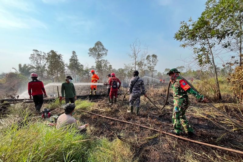Kemenhut: Api di TN Way Kambas padam, seluruh gajah terpantau aman
