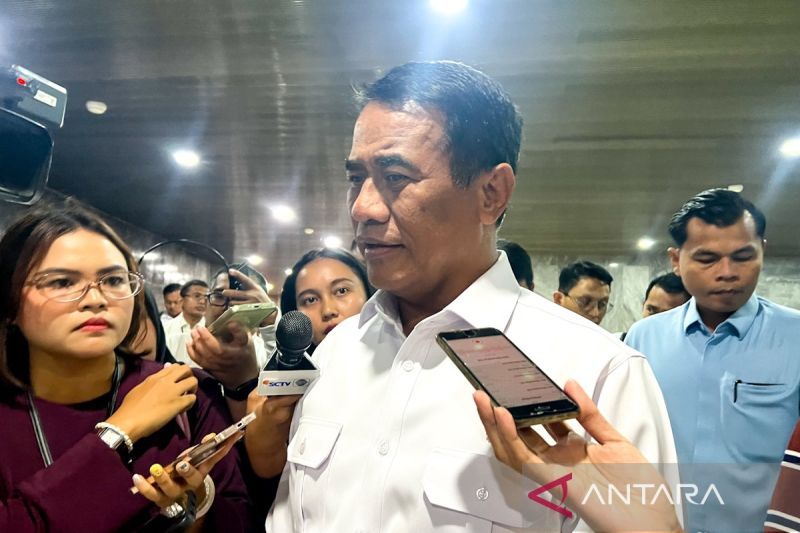 Mentan pastikan pelaku pemalsuan beras fortifikasi diproses hukum