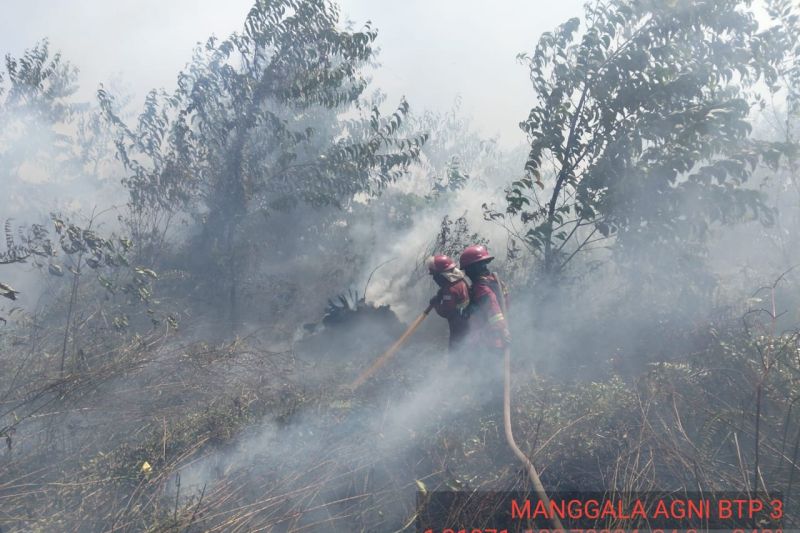 BPBD: Luas lahan terbakar di Batang Hari capai 479,48 hektare